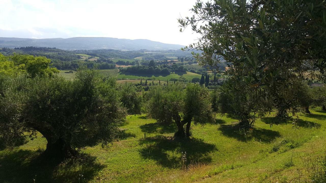 Villa Montevenere 83 à Chiusi Extérieur photo