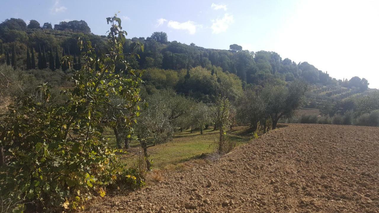 Villa Montevenere 83 à Chiusi Extérieur photo